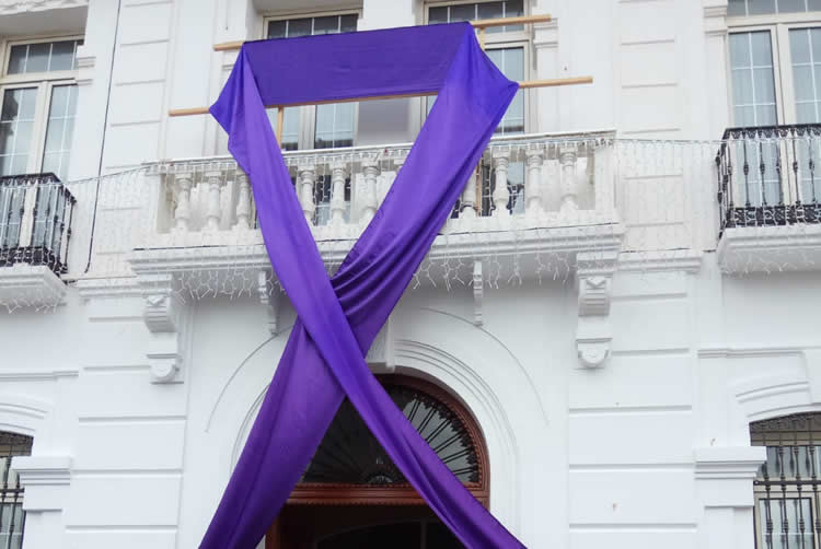 CELEBRACIÓN DEL DÍA PARA LA ELIMINACIÓN DE LA VIOLENCIA DE GÉNERO